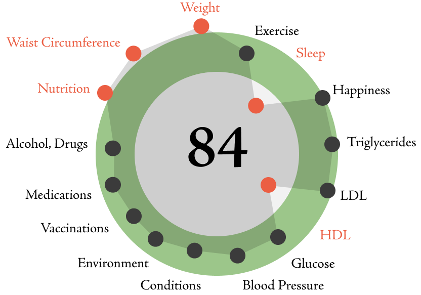 hGraph health visualization